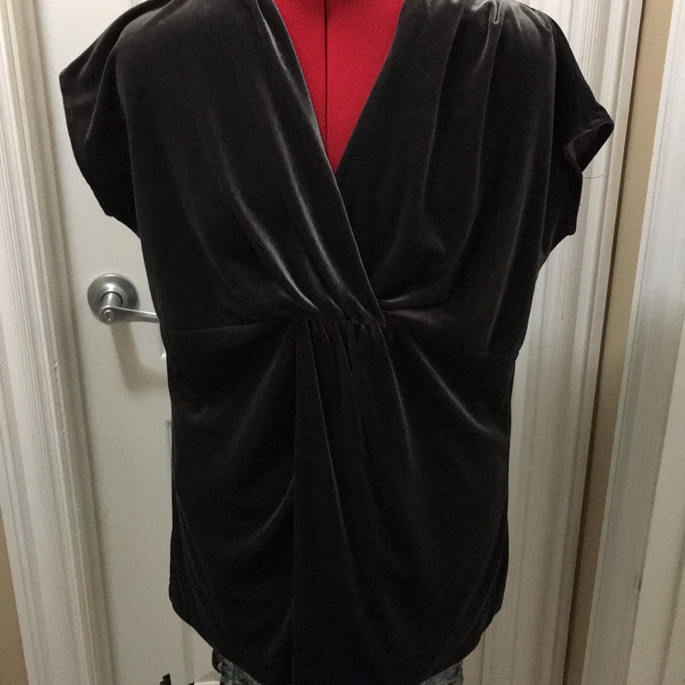 Velvet pretty short sleeve top